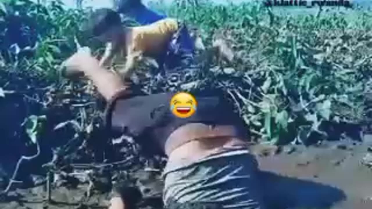 Funniest videos 😂 😂