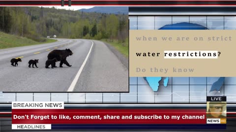Nobody's listening to the wildlife: Vernon resident