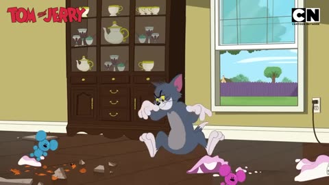 Tom & Jerry 😺🐭| Just Cat & Mouse Things | #tomandjerry | Funny Cartoons | ‪@cnindia‬