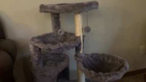 Give Your Cat the Luxury They Deserve with This Three-Layer Cat Tree – Complete with Condo!