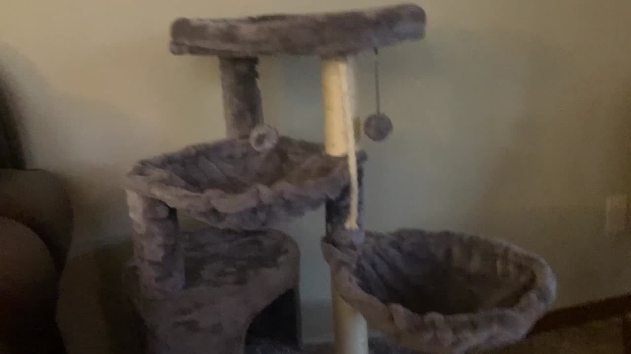 Give Your Cat the Luxury They Deserve with This Three-Layer Cat Tree – Complete with Condo!