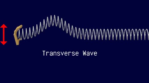 Waves: Longitudinal vs. Transverse