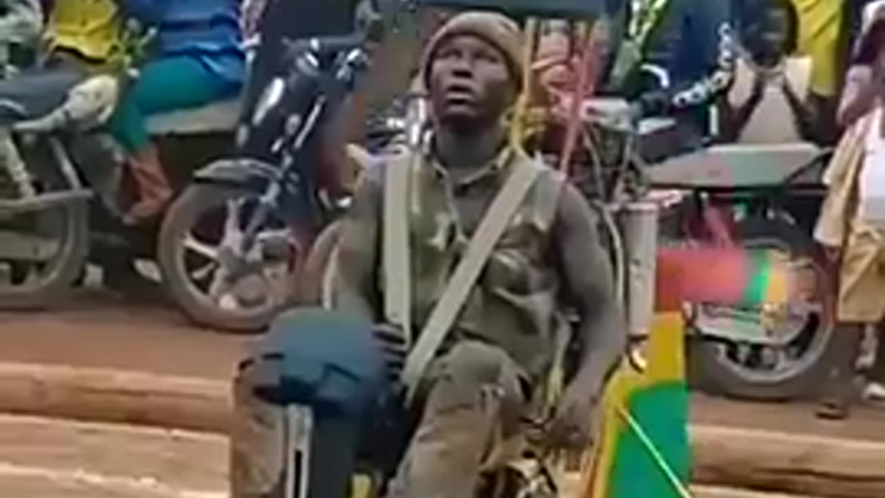 Those magnificent men in their flying machines! 😂🤪🦧😂