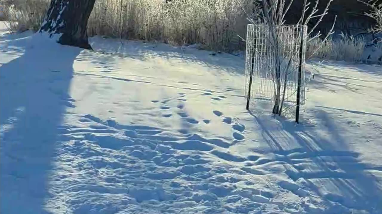 Out For A Walk