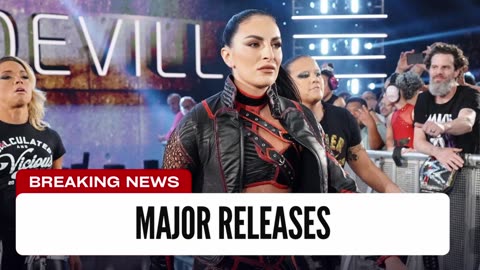 A Bunch Of WWE Star Were Just Released