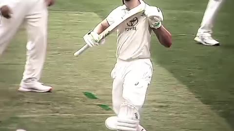 India vs australia |Ind vs Aus