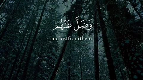 Jazakallah ♥️✨🕊️