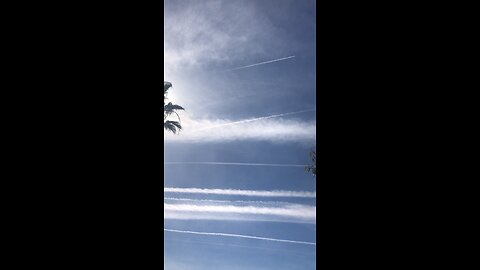 California Spraying