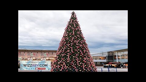 Northlight Pre-Lit Giant Everest Fir Commercial Christmas Tower Tree 30 Review