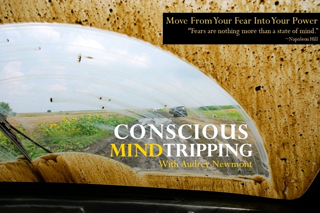 Conscious Mind Tripping with Audrey Newmont