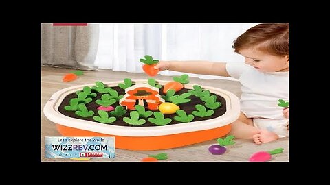 Baby Montessori Toys For Toddler Toys Educational Colorful Shape Toy Pull Carrot Review