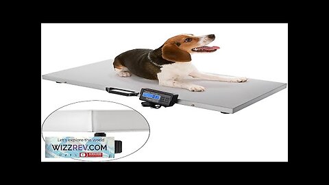 VEVOR 880Lbs x 0.2Lbs Livestock Scale Shipping Scales Large Platform 40.6x20.9Inch Stainless Review