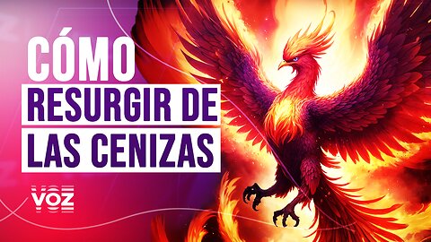 Cómo resurgir de las cenizas - Episodio 13