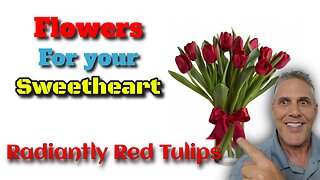 Red Tulip Valentine Day Flowers https://www.jjmediaonline.net/redtulips