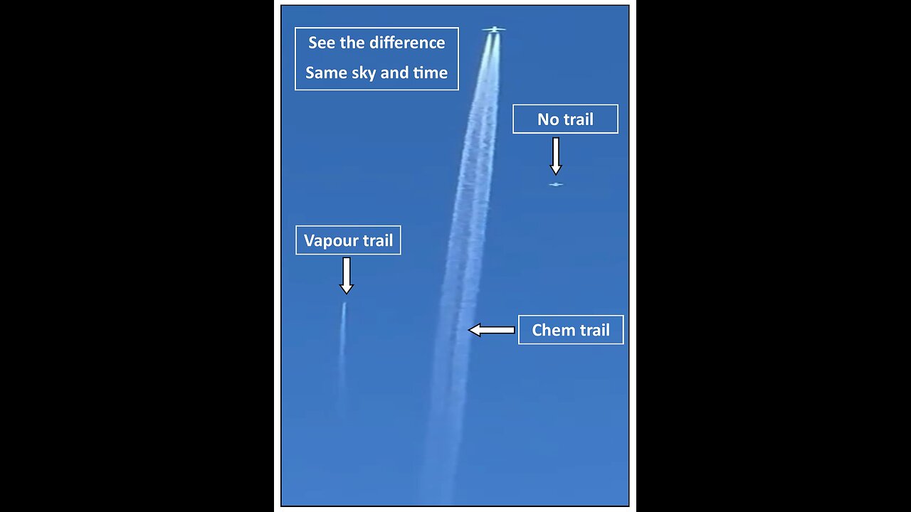 Pilots and others give evidence on planes spraying chemicals