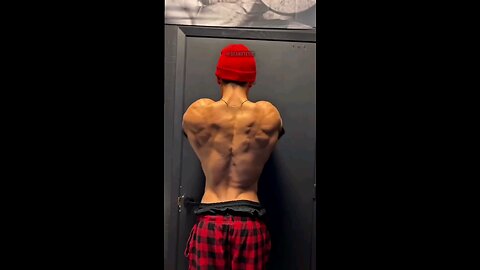 Best Calisthenics Back Exercises Ranked