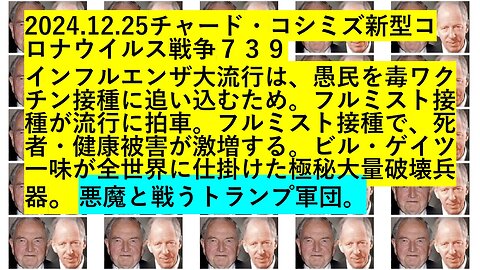 2024.12.25リチャード・コシミズ新型コロナウイルス戦争７３９