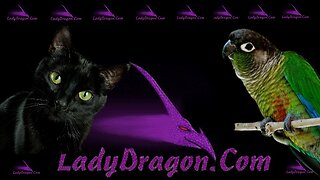 LIVE LADYDRAGON - MY TURKEYS ARE HERE MARCH 02