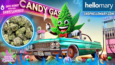 Enjoying Candy Gas Smalls from Shop Hello Mary! Dankin with the Flamingos Review!!