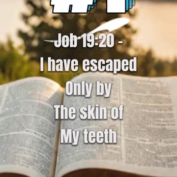 Bible Quizzes are a great way to test your knowledge and confirm in your Bible