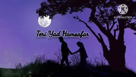 TERI YAD HAMSAFAR Lofi Song, Love Song