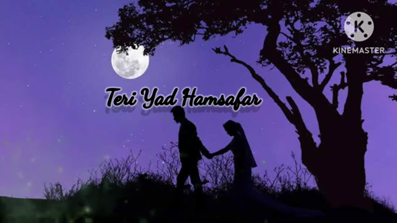 TERI YAD HAMSAFAR Lofi Song, Love Song