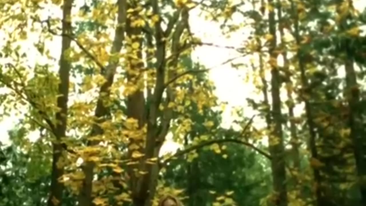 Diana Krall - Almost Blue (2004)