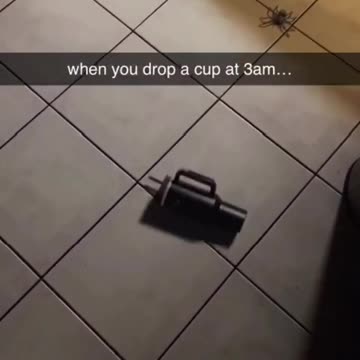 It's Always Happened 😂