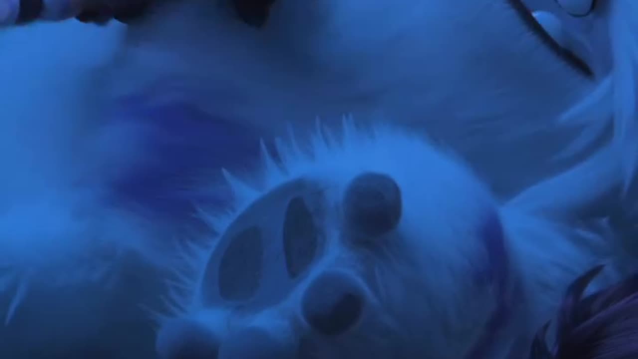 Blueberry storm 🫐😂