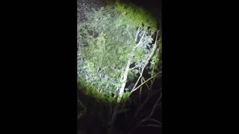 This Is Wild - Man Confronts "Tall Beings" In South Carolina
