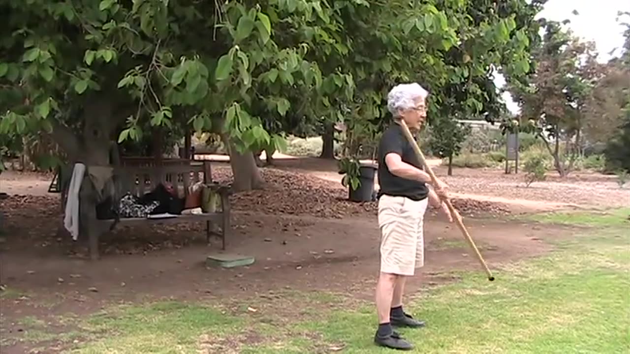 Longevity Stick Exercise