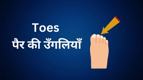 Learn body part name