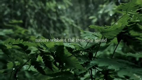 Nature without the trending sound