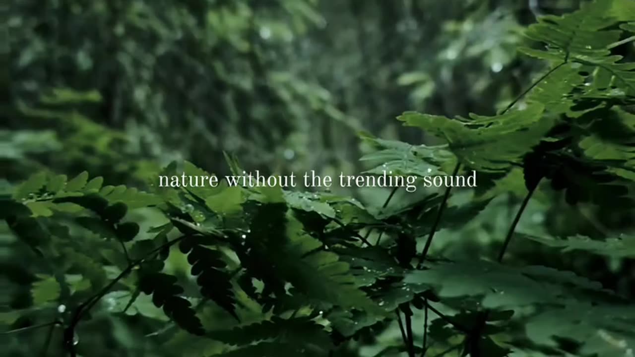 Nature without the trending sound