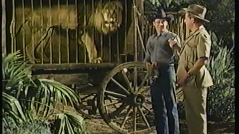 Mighty Joe young 1940's movie