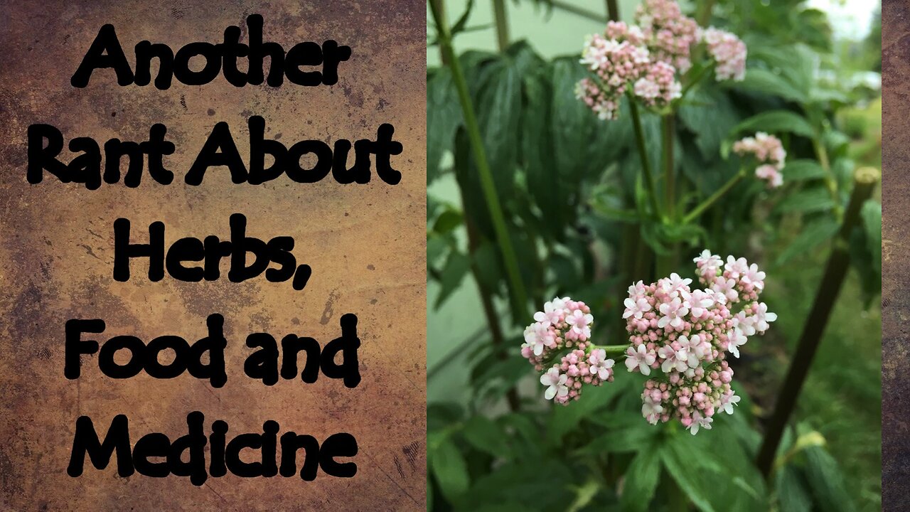 Another Rant About Herbs, Food, and Medicine