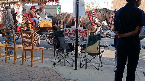 Merry Christmas 2024 w Horses Clovis California