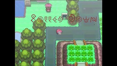 Specializing in Grass type Pokémon, Platinum Paythrough 1.21