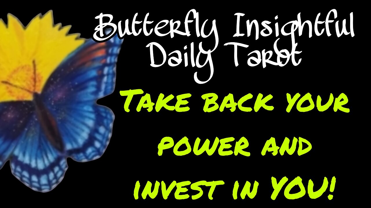 Butterfly Insightful Daily Tarot - Invest in yourself!