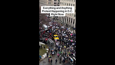 Everything and Anything Protest Happening in D.C. Right Now