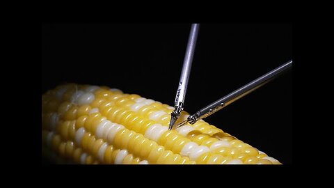 Microsurgery Assistance Robot Stitching a Corn Kernel - Sony Group