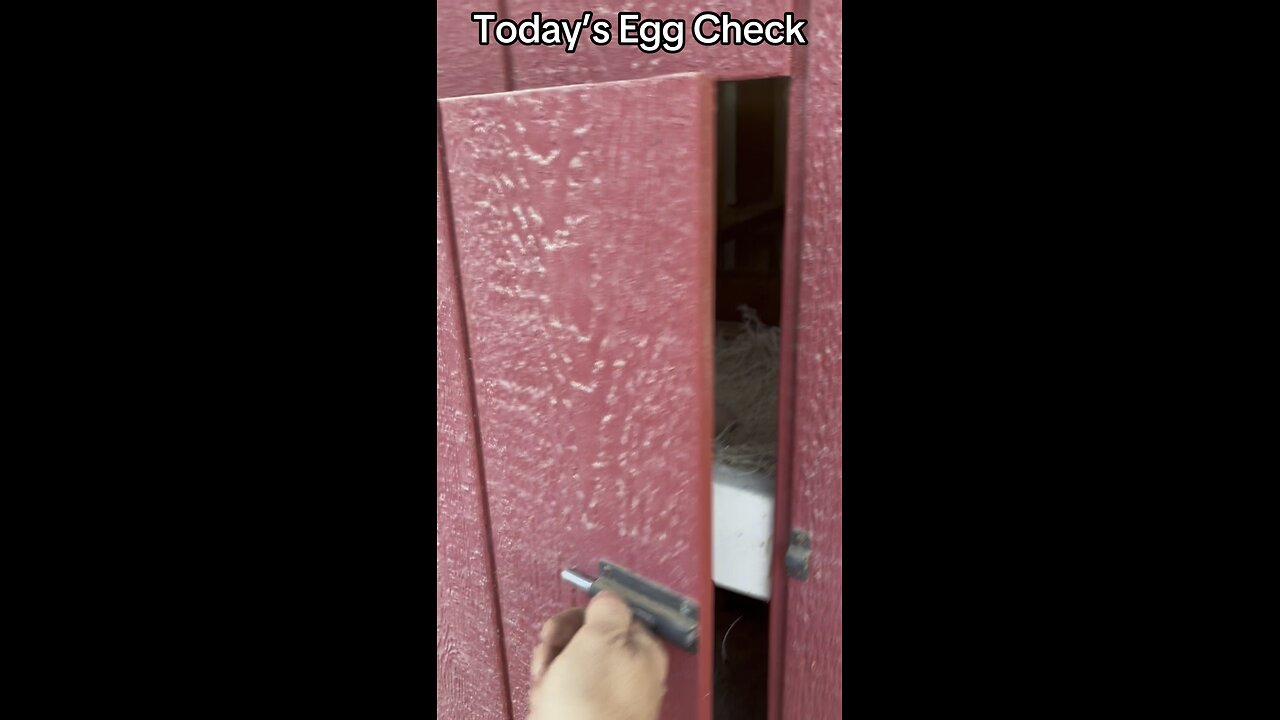 Today’s #Egg Check