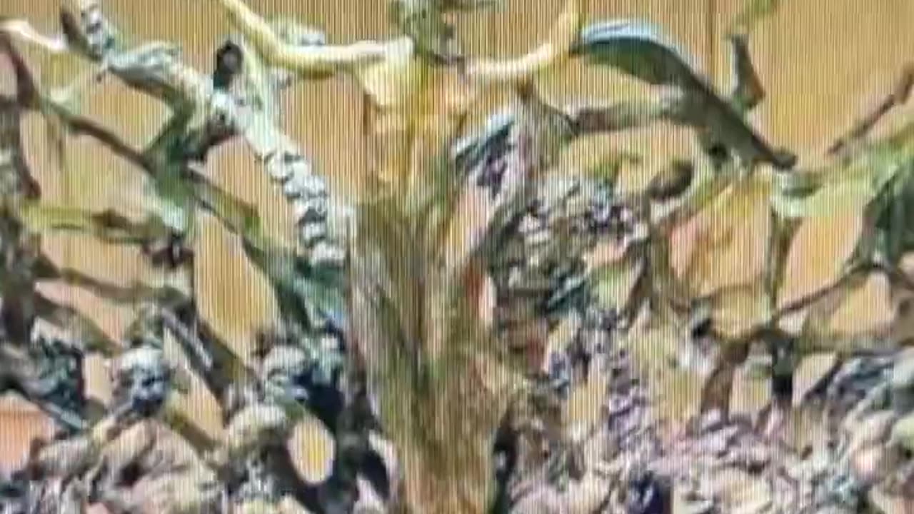 The Pope & ancient Satanic symbolism. Truth is truly is stranger than fiction.