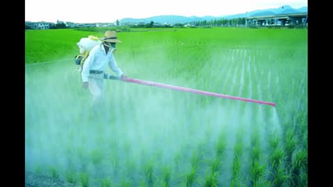 Fall of the cabal - Part 1 (Janet Ossebaard & Cyntha Koeter)