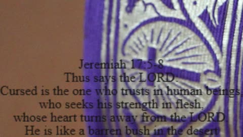 A reading from the book of Jeremiah, 17:5-8