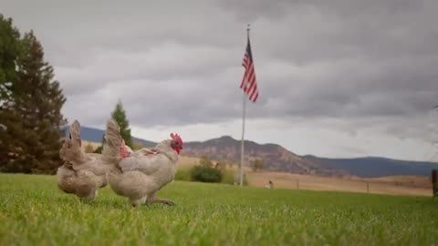 No Farmers No Food