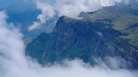 nature view