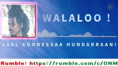 Qophiin Walaloo ONM-ABO Muddee 27-2024 itti dhiyaadhaa!