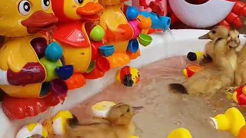 Duckling Waterwheel Bath