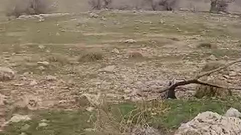 Shooting Training in our Mountian.13/16